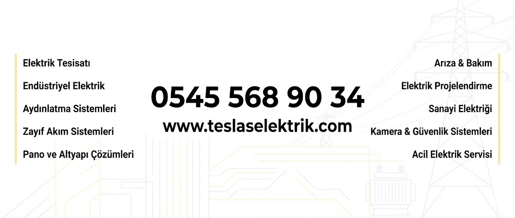 Teslas Elektrik Hero